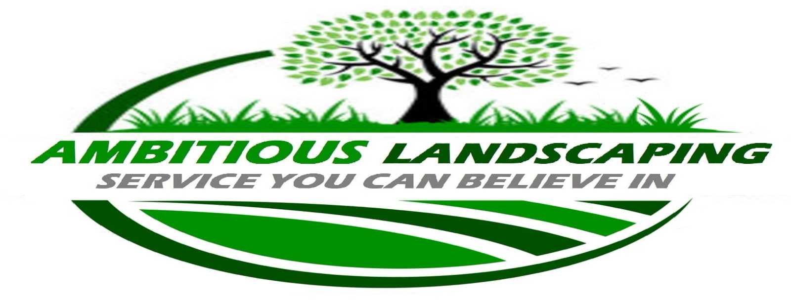 Ambitious Landscaping Services Ltd.